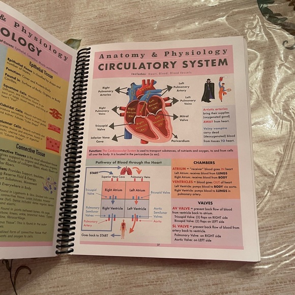 The Nursing School Antidote Book - Picture 9 of 9
